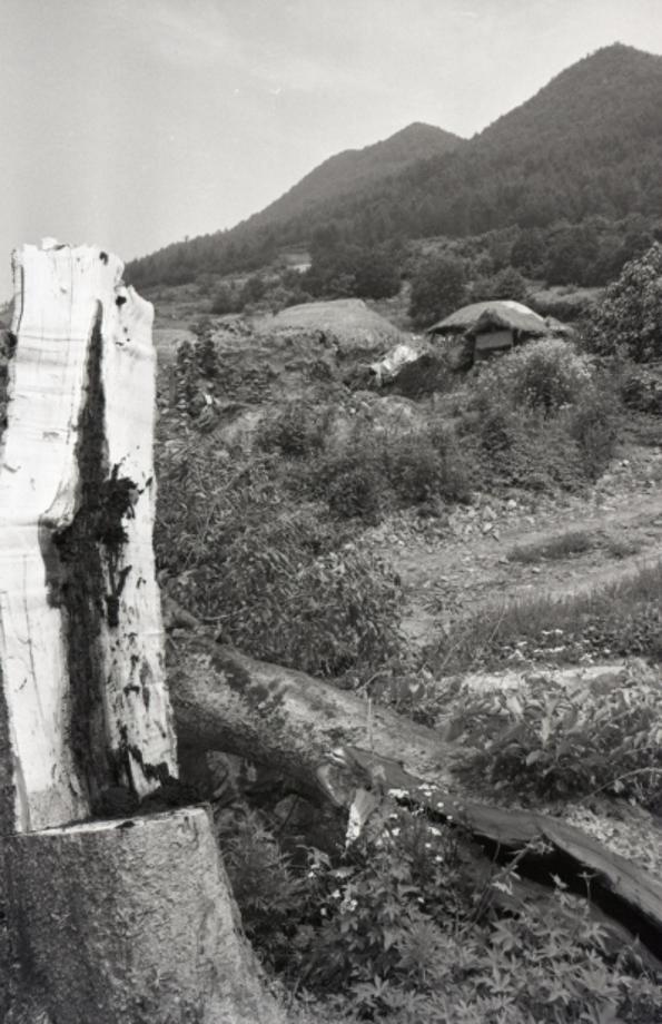 김운기 컬렉션이미지