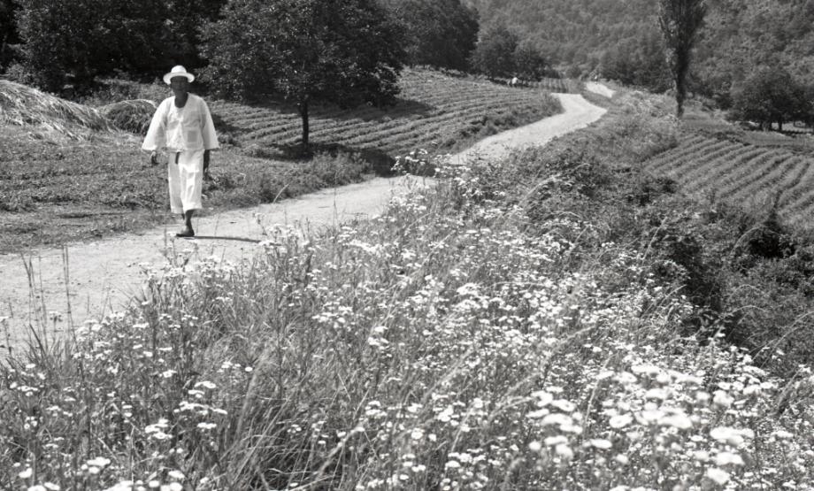 김운기 컬렉션이미지