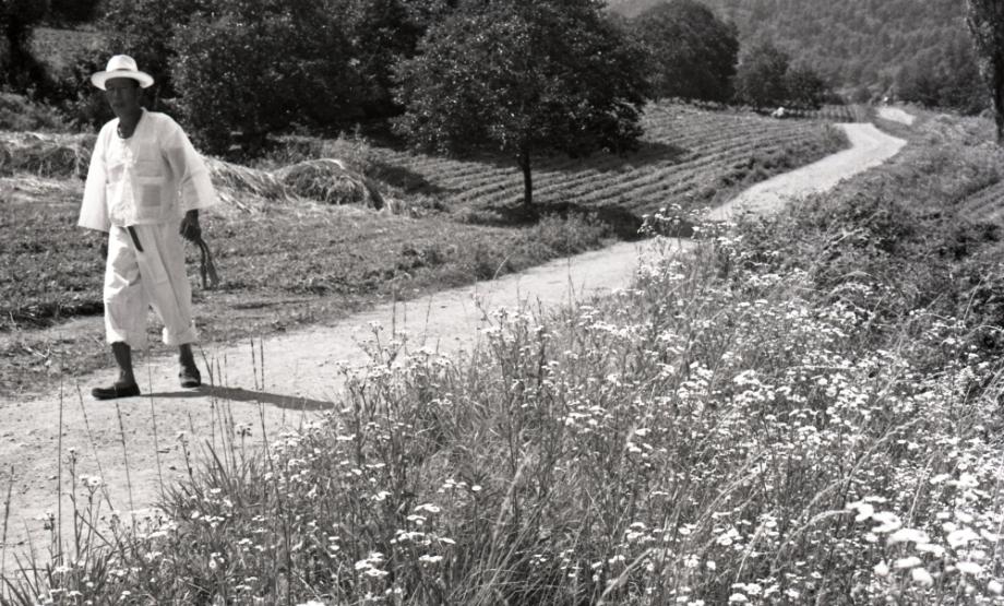 김운기 컬렉션이미지