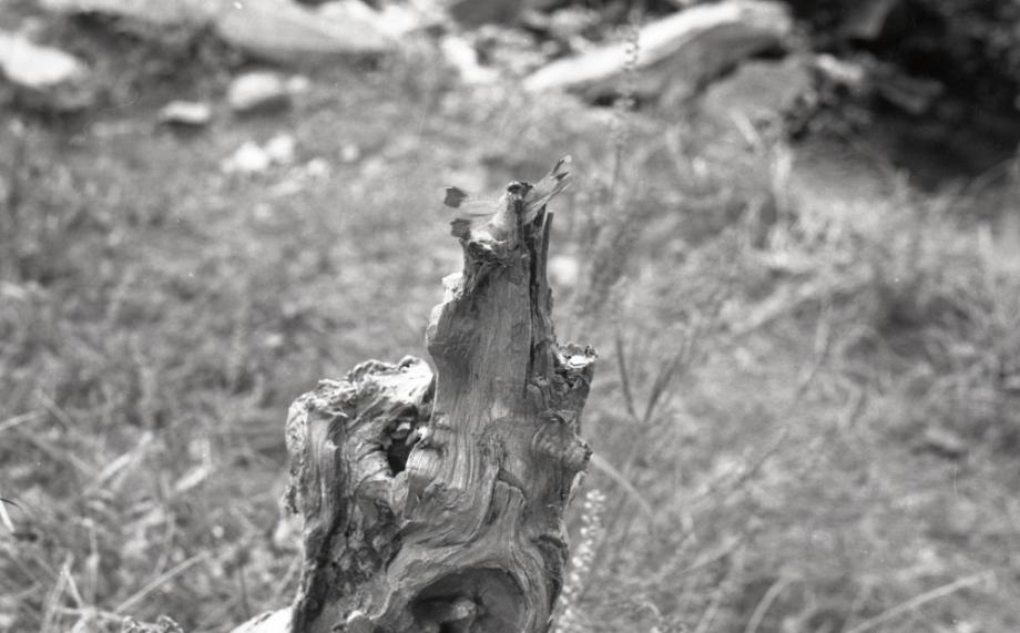 김운기 컬렉션이미지