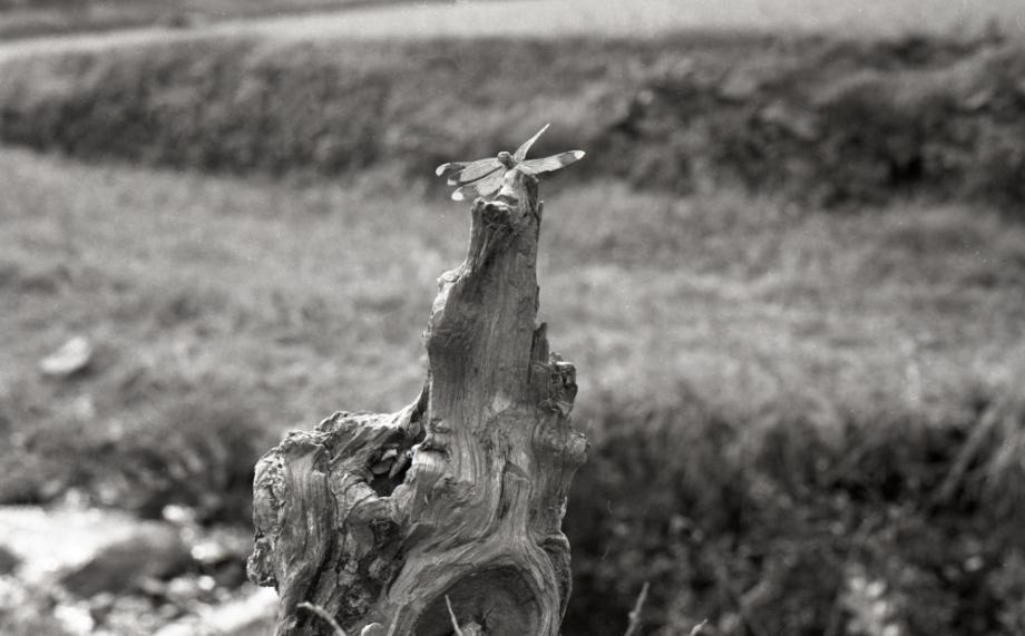 김운기 컬렉션이미지