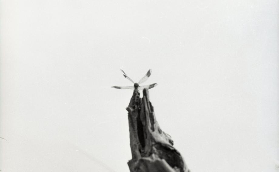 김운기 컬렉션이미지