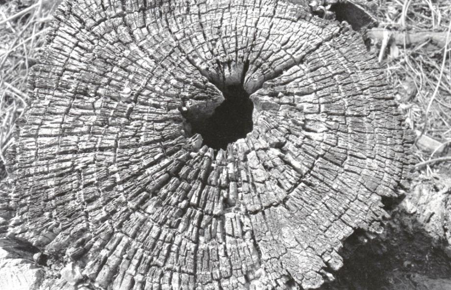 김운기 컬렉션이미지