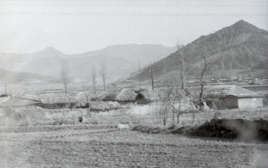 김운기 컬렉션이미지