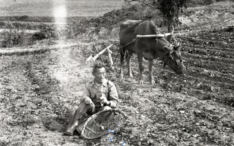 김운기 컬렉션이미지