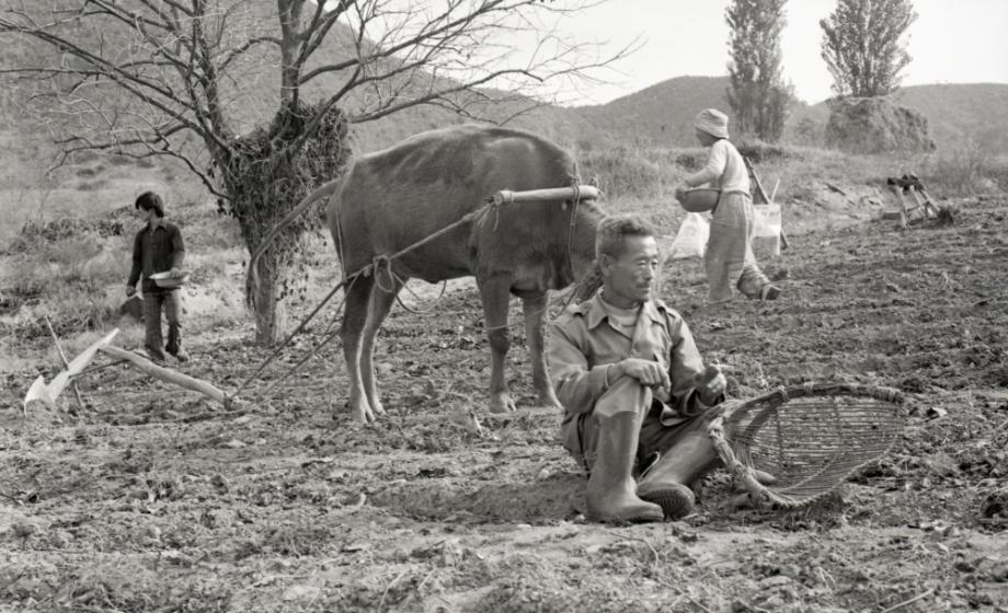 김운기 컬렉션이미지