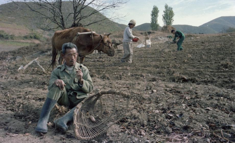 김운기 컬렉션이미지