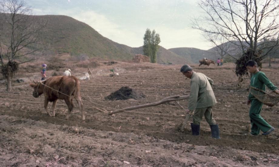 김운기 컬렉션이미지