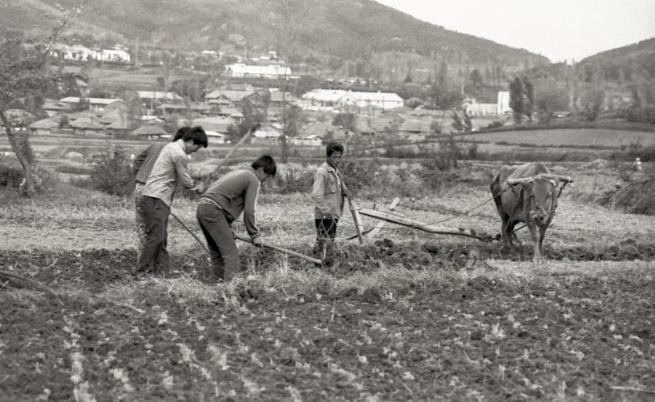김운기 컬렉션이미지