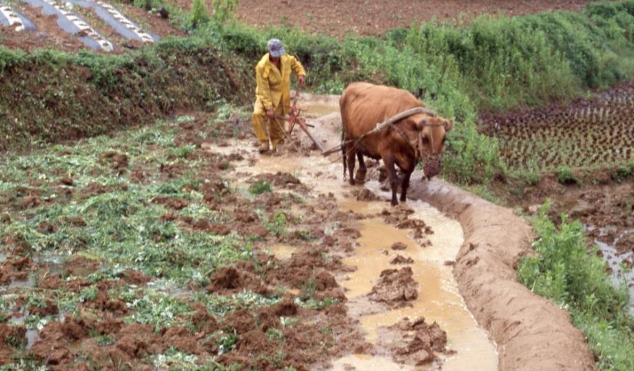 김운기 컬렉션이미지