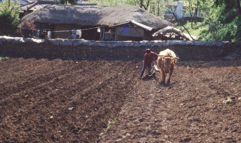 김운기 컬렉션이미지
