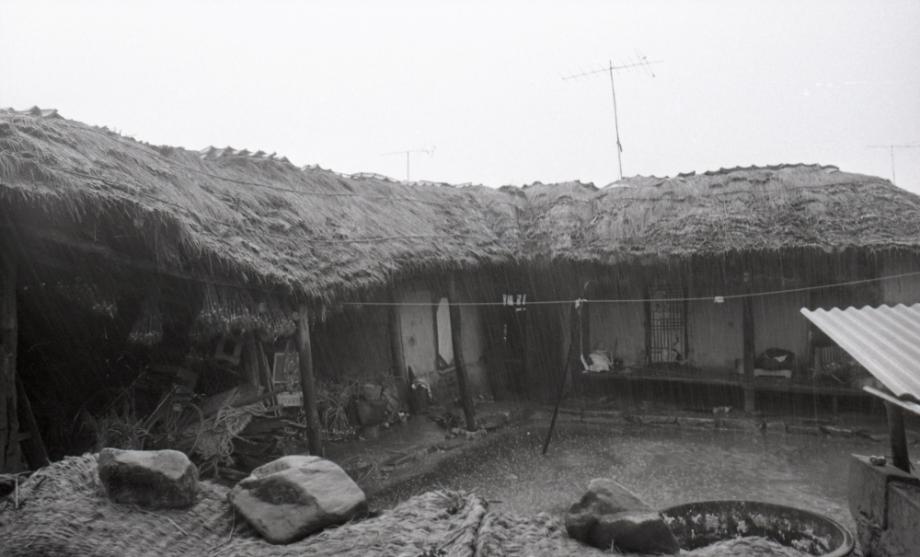 김운기 컬렉션이미지