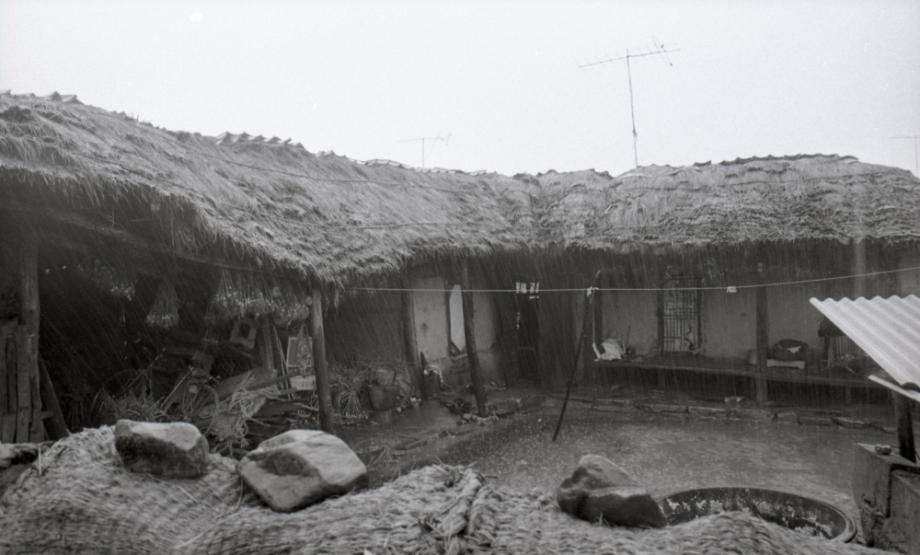 김운기 컬렉션이미지