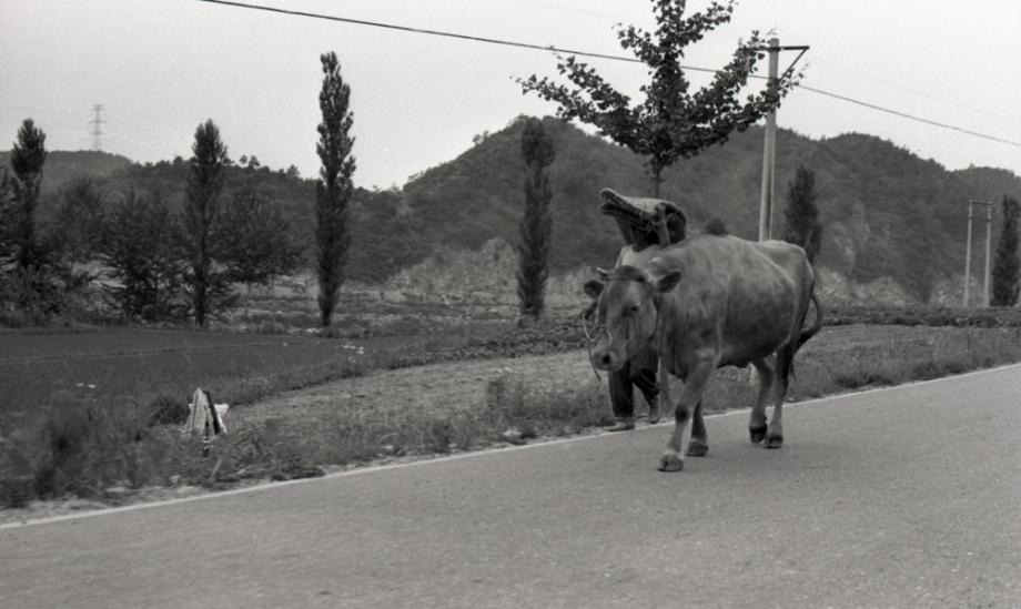김운기 컬렉션이미지