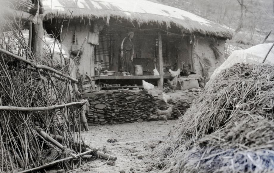 김운기 컬렉션이미지