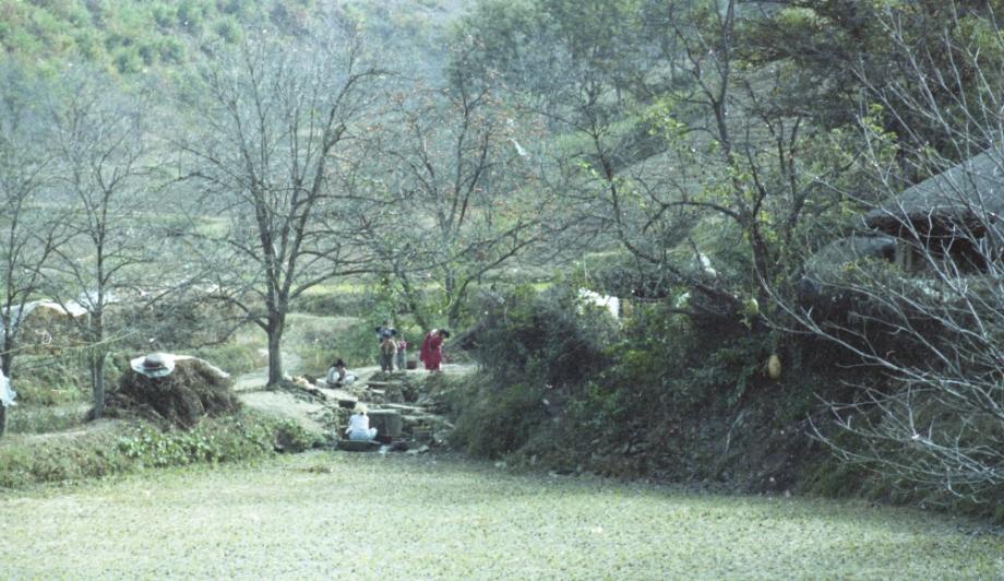 김운기 컬렉션이미지
