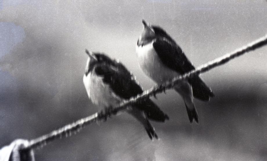 김운기 컬렉션이미지