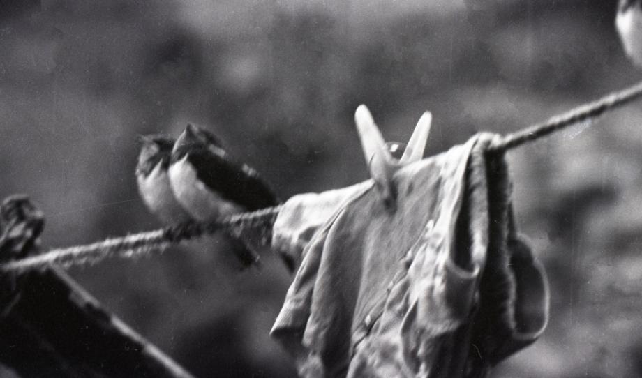 김운기 컬렉션이미지