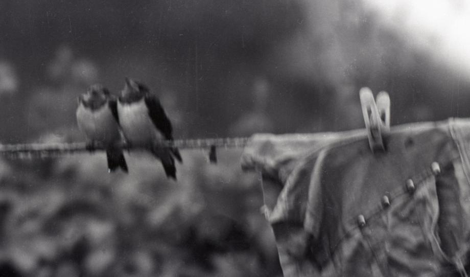 김운기 컬렉션이미지