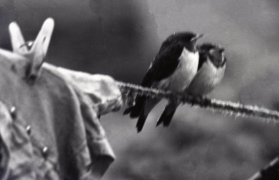 김운기 컬렉션이미지