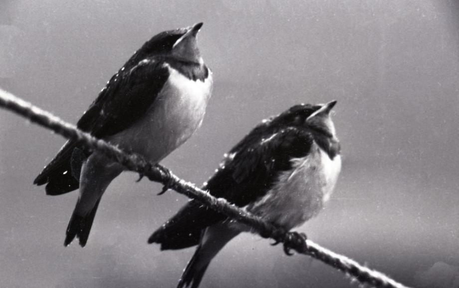 김운기 컬렉션이미지
