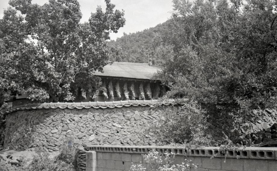 김운기 컬렉션이미지