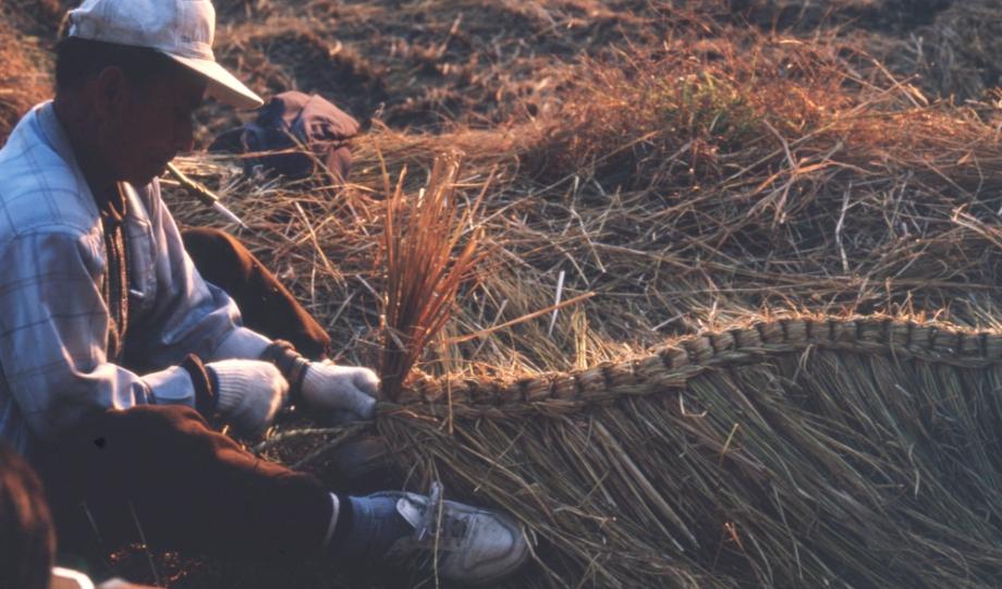 김운기 컬렉션이미지