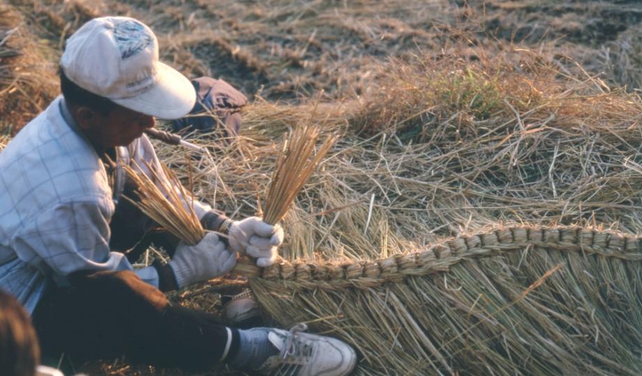 김운기 컬렉션이미지