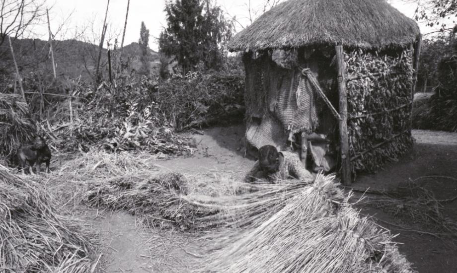 김운기 컬렉션이미지