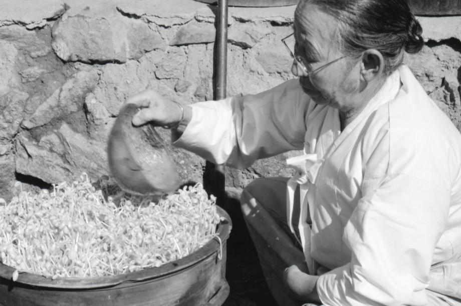 김운기 컬렉션이미지