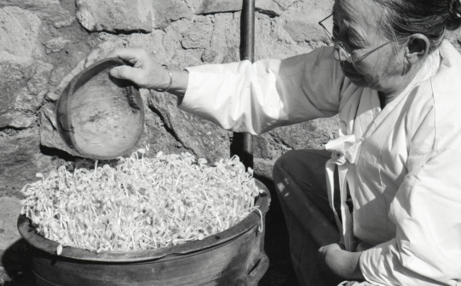 김운기 컬렉션이미지