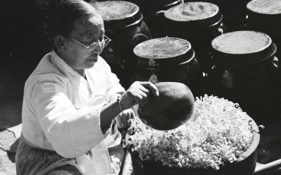 김운기 컬렉션이미지