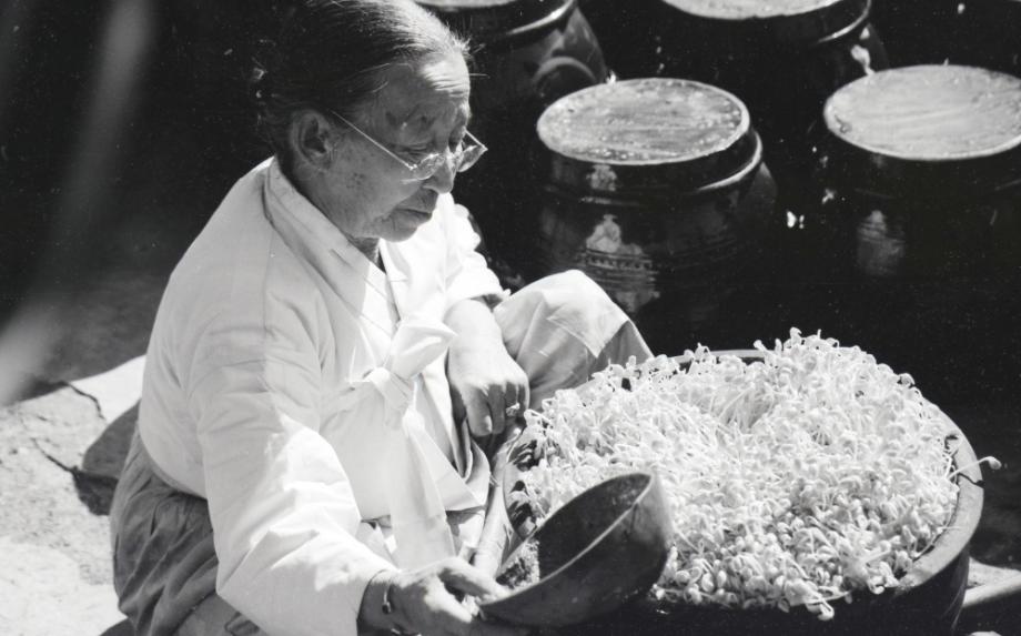 김운기 컬렉션이미지