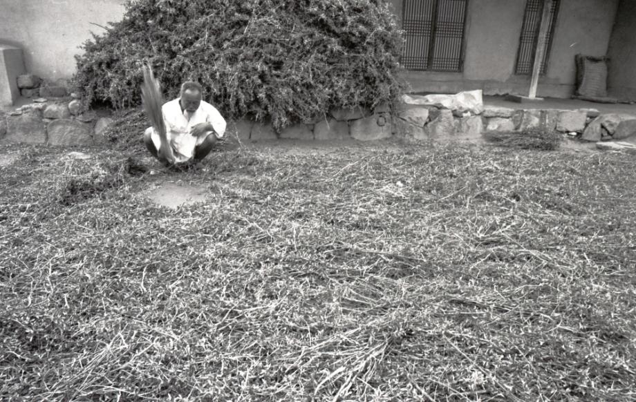 김운기 컬렉션이미지