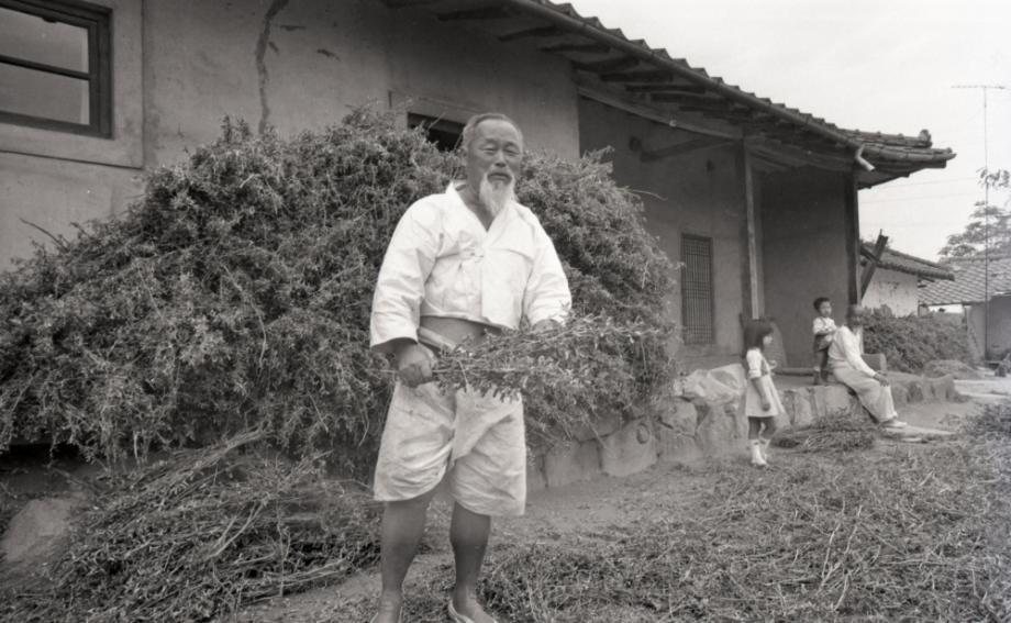 김운기 컬렉션이미지