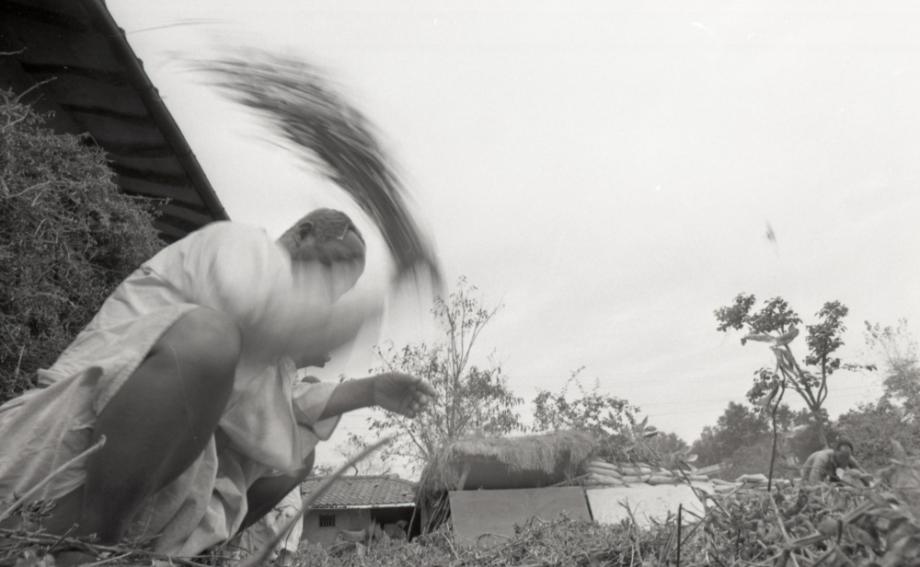 김운기 컬렉션이미지