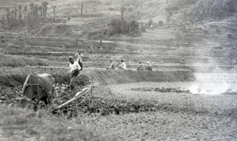 김운기 컬렉션이미지