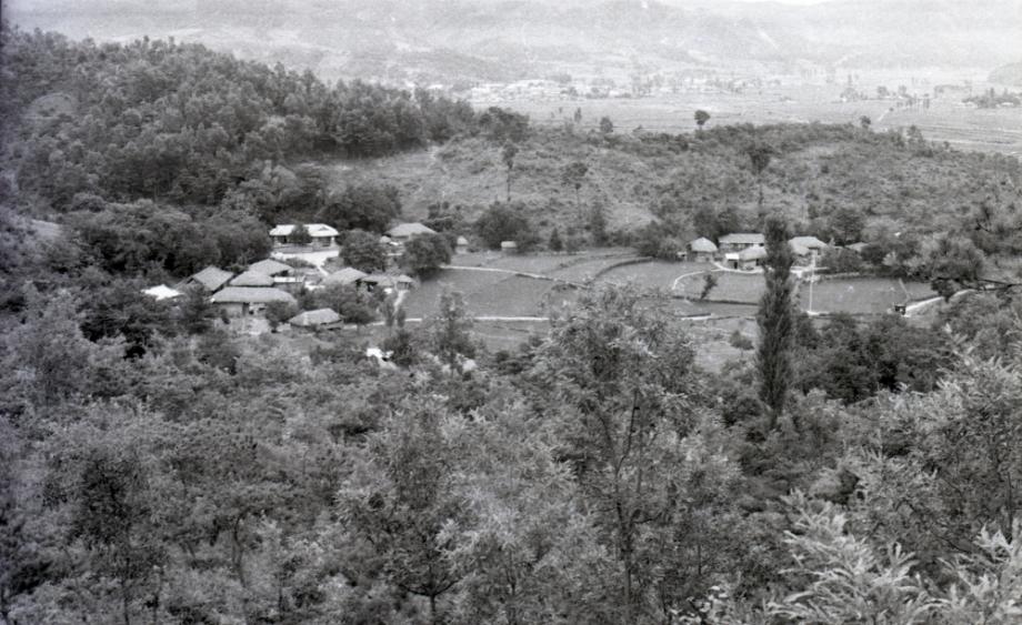 김운기 컬렉션이미지