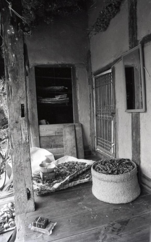 김운기 컬렉션이미지