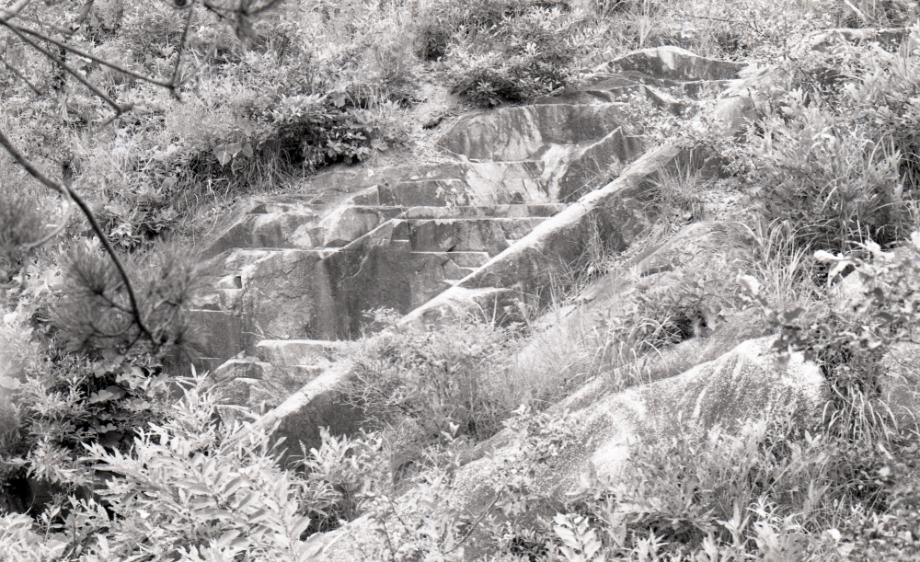 김운기 컬렉션이미지