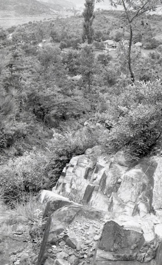 김운기 컬렉션이미지