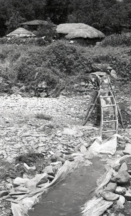 김운기 컬렉션이미지