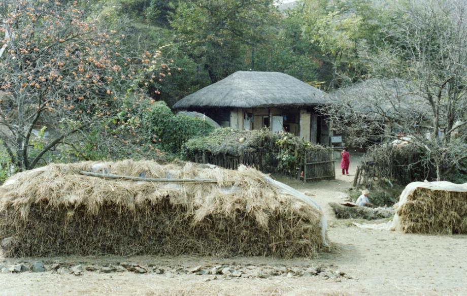 김운기 컬렉션이미지