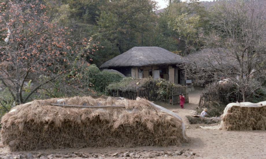 김운기 컬렉션이미지