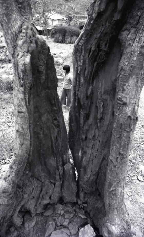 김운기 컬렉션이미지