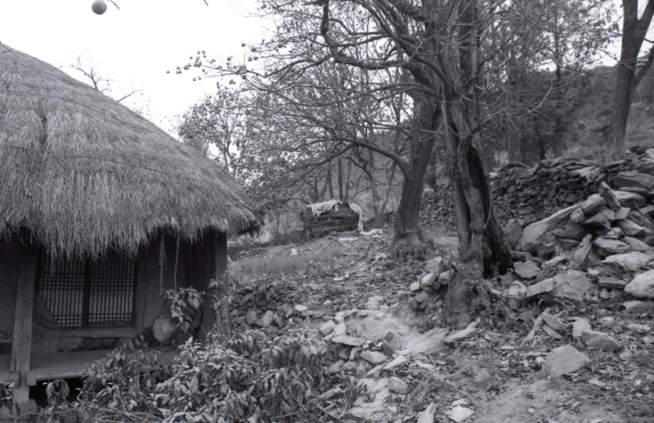 김운기 컬렉션이미지