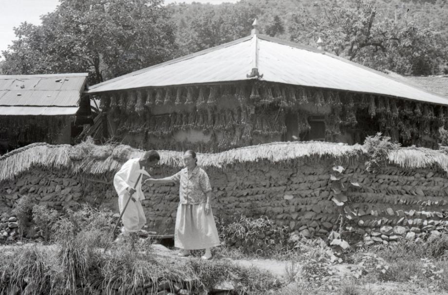 김운기 컬렉션이미지