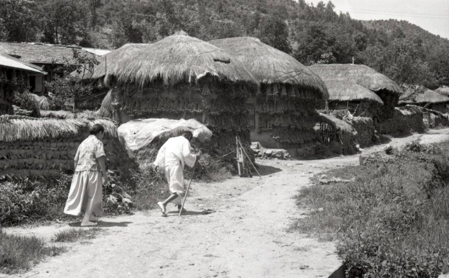 김운기 컬렉션이미지