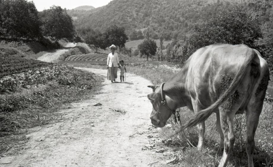 김운기 컬렉션이미지