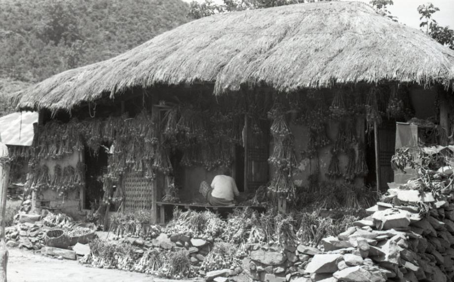 김운기 컬렉션이미지